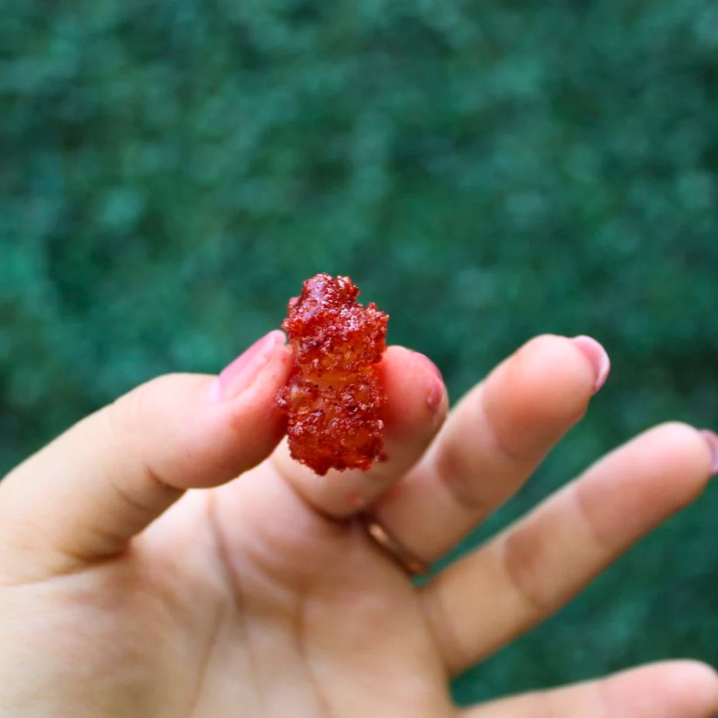 Ositos