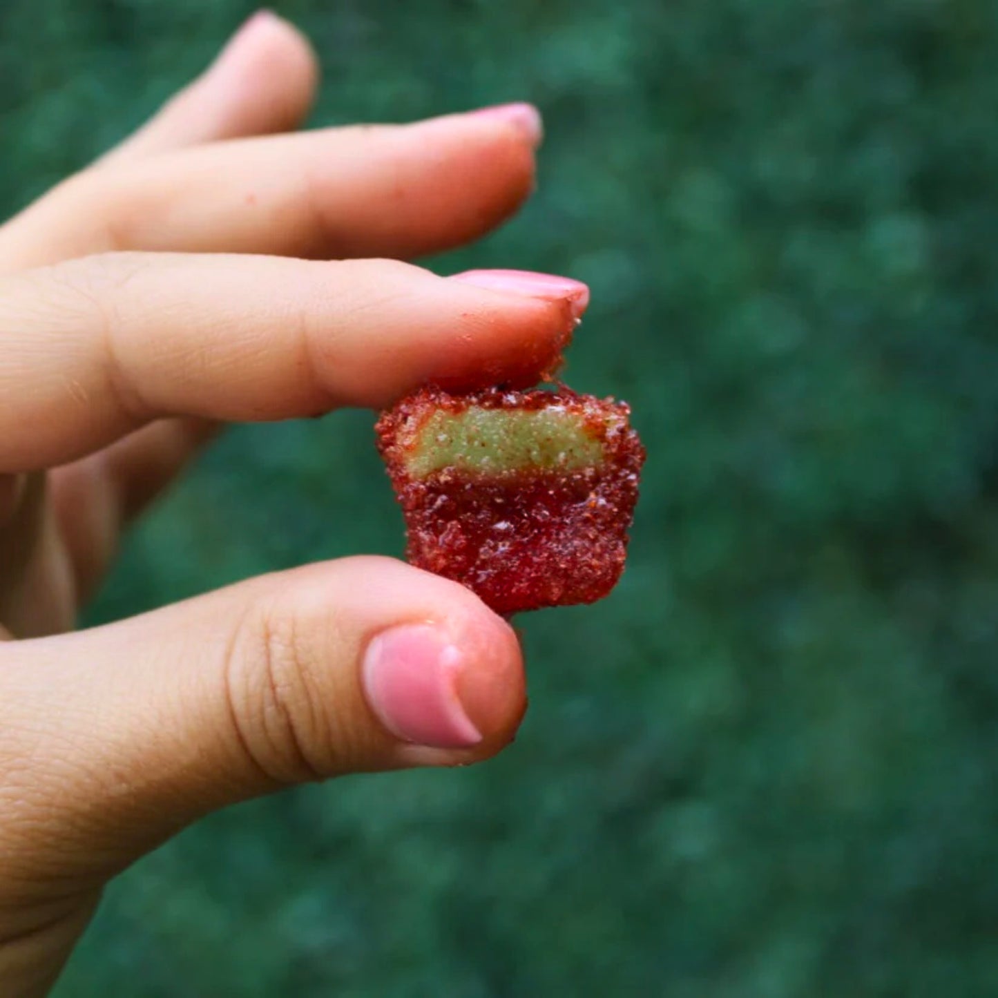 Watermelon Slices